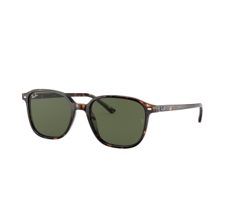 RAY-BAN 2193 902/31 Leonard