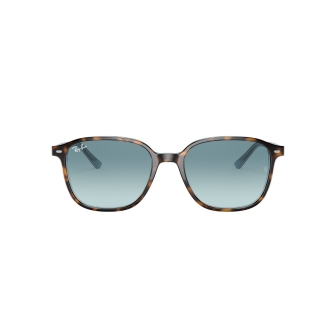 copy of Ray-Ban 2193...