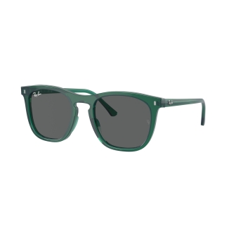 copy of Ray-Ban 2193...