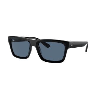 RAY-BAN 4396 667780 Warren