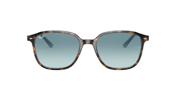 RAY-BAN 2193 13163M Leonard