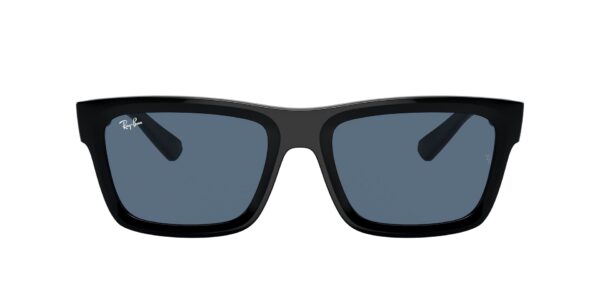 RAY-BAN 4396 667780 Warren