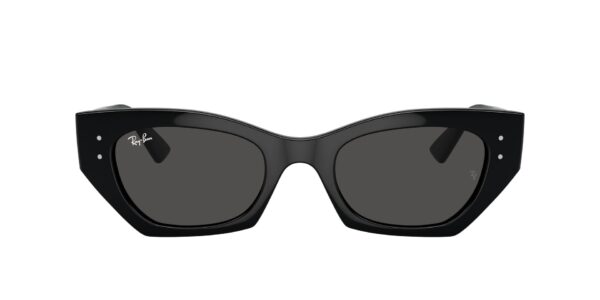 RAY-BAN 4430 667787 Zena