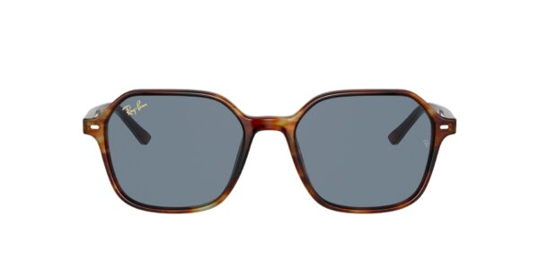 RAY-BAN RB2194 954/62